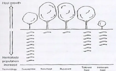 Gambar 2. Diagram yang menjelaskan respon pertumbuhan tanaman terhadap  reproduksi nematoda di tanaman (Robert dalam Starr et al