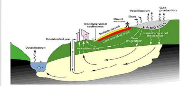 Gambar 2.1; Dampak