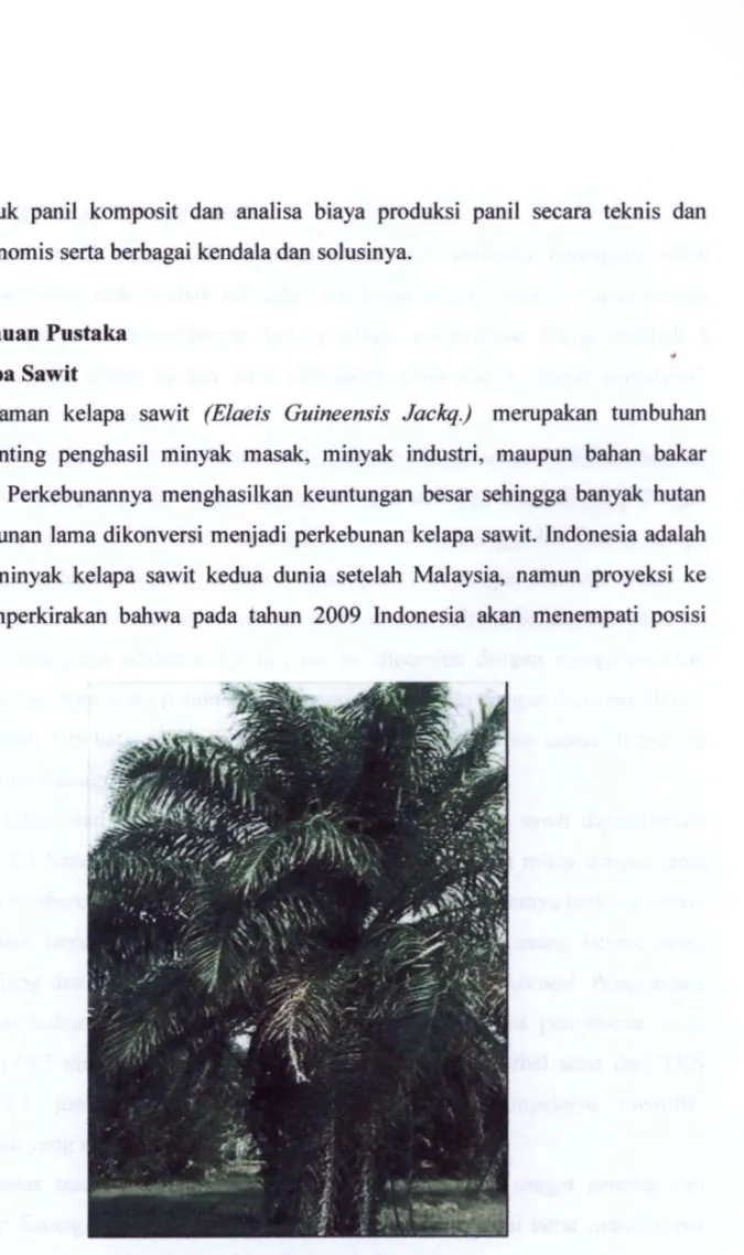 Gambar 1. Tumbuhan kelapa sawit 