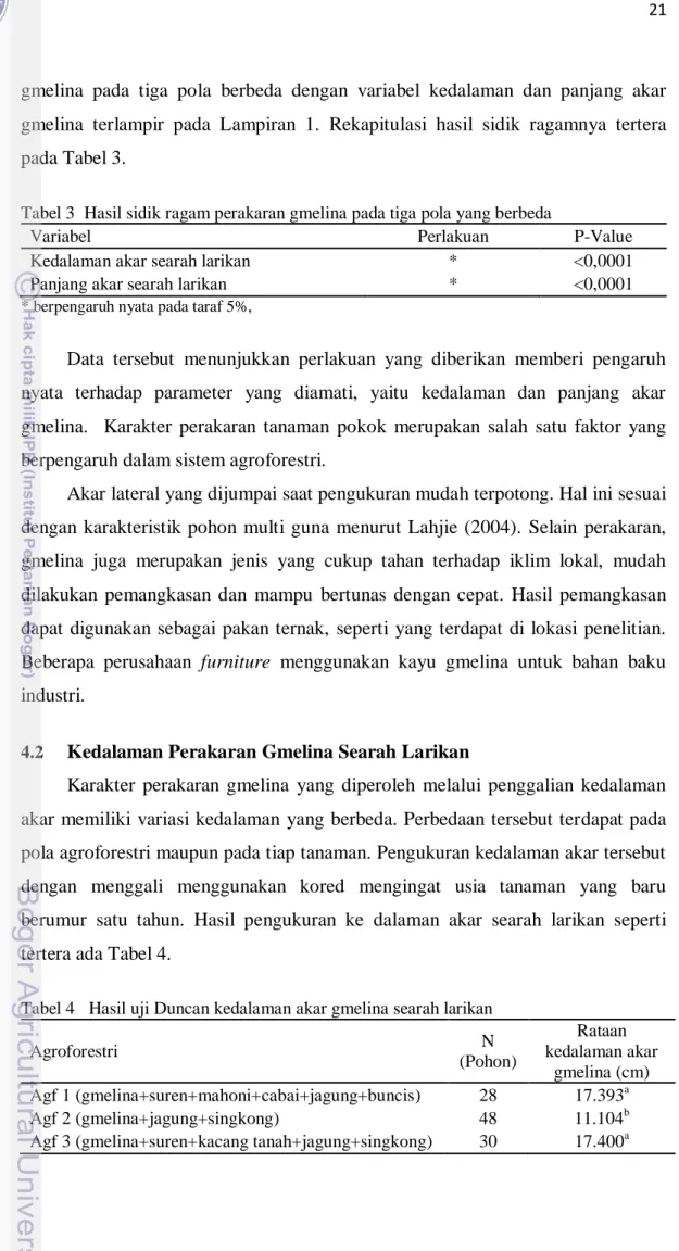 Tabel 3  Hasil sidik ragam perakaran gmelina pada tiga pola yang berbeda 
