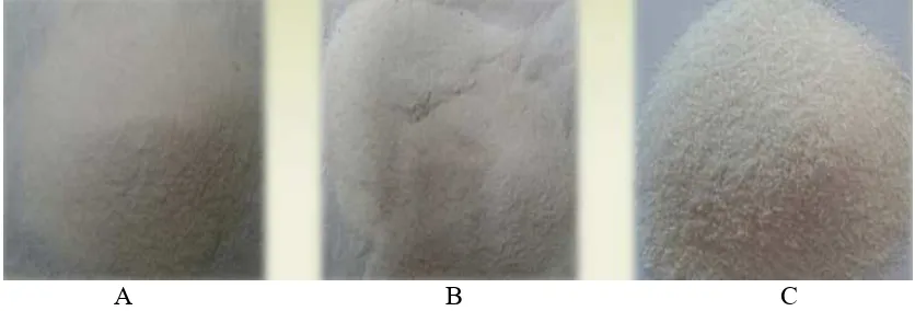 Gambar 3 Tepung pragelatinisasi (A) Rice cooker (B) Ekstruder (C) Drum dryer 