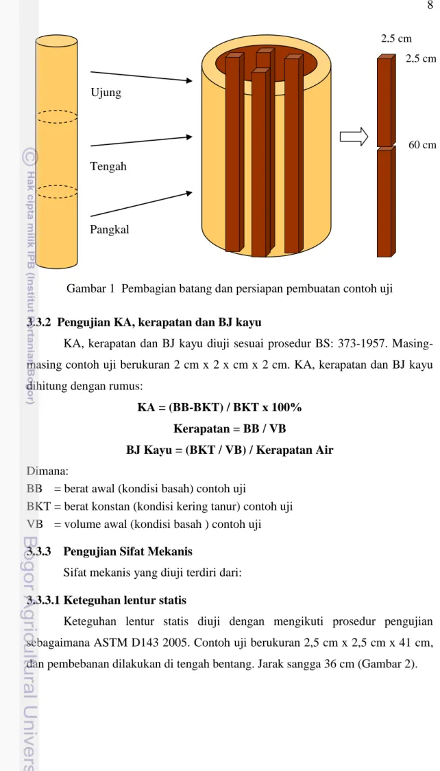 Gambar 1  Pembagian batang dan persiapan pembuatan contoh uji  3.3.2  Pengujian KA, kerapatan dan BJ kayu 