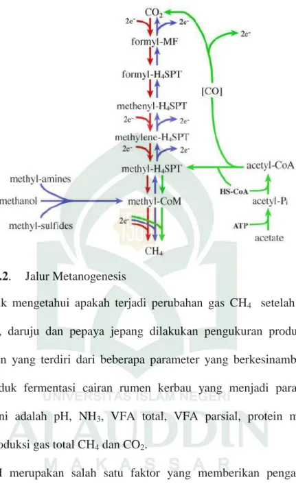 Gambar 4.2.  Jalur Metanogenesis  