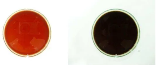Gambar 4.2 Ekstrak pekat daun jati sebelum ditambahkan dengan FeCl3 (kiri) dan setelah penambahan FeCl3 (kanan) 
