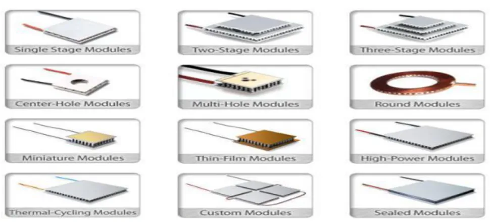 Gambar 2.16 Jenis-jenis Modules Termoelectric  Sumber: www.ferrotec.com/products/thermal/modules.com
