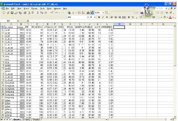 Gambar 2.1. Data Panel dalam Format Microsoft Excel 