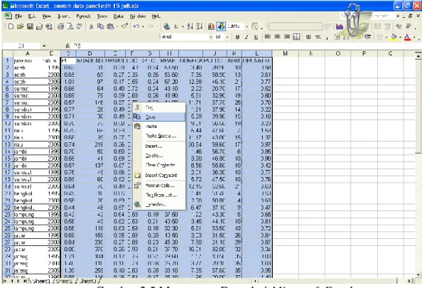 Gambar 2.5 Meng-copy Data dari Microsoft Excel 
