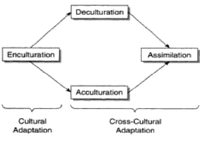 Gambar 1. Hubungan antara istilah kunci dalam Adaptasi Antar Budaya  (Sumber: Kim, 2001) 