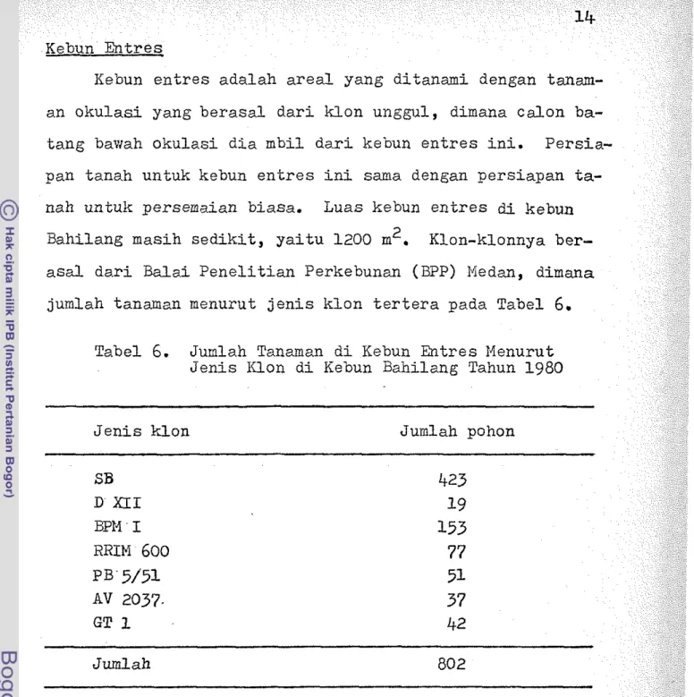 Tabel  6.  Jumlah  Tanaman  d i  Kebun  a t r e s  Menurut  J e n i s   IUon  d i  Kebun  Bahilang  Tahun  1980 