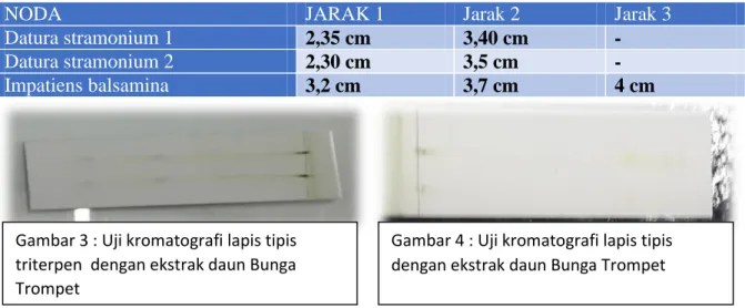 Gambar 2 : Uji Lieberman-Burchard dengan  ekstrak daun Bunga Pacar Air 