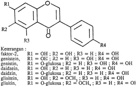 Gambar 1. Struktur senyawa isoflavon (Naim dkk, 1974) 