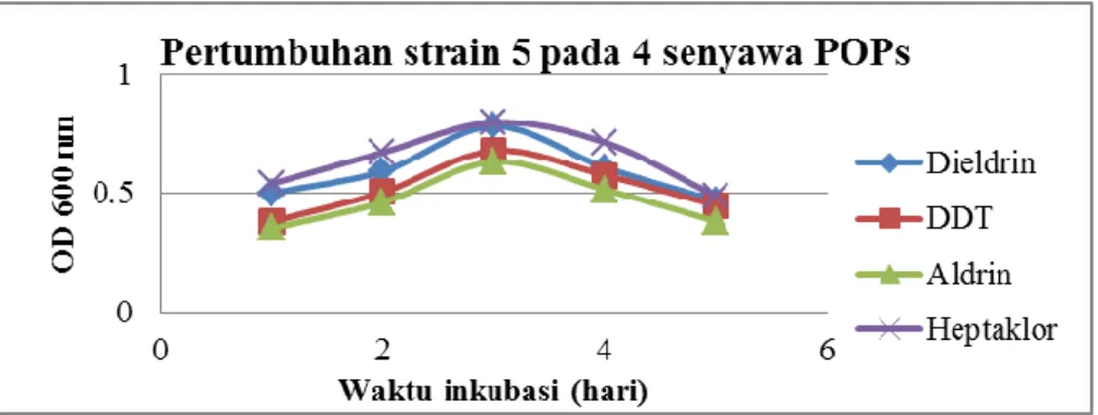 Gambar 8. Pertumbuhan strain 5 pada media yang mengandung organoklorin dieldrin, aldrin, DDT,  heptakhlor dan dengan konsentrasi 20 ppm 