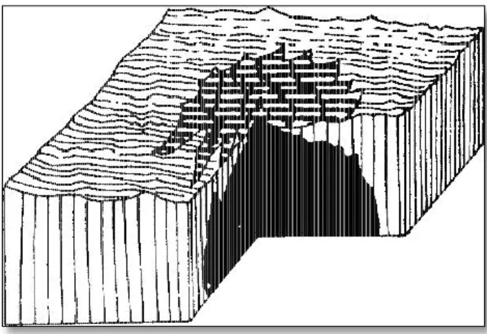 Gambar 4. Erupsi Areal (Sumber: Moh. Ma’mur Tanudidjaja, 1988, halaman 204) 