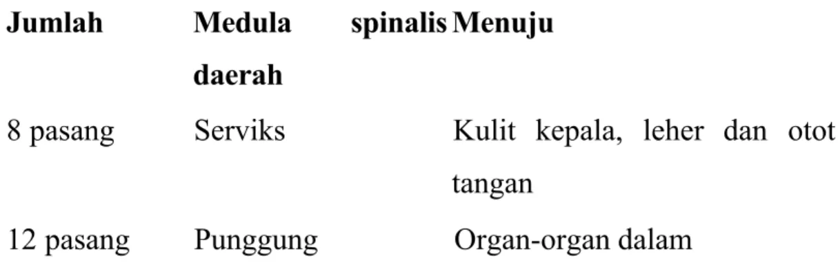 Tabel 2. Sistem saraf medula spinalis
