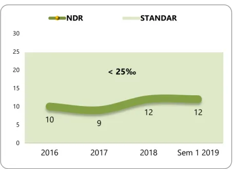 Grafik 7. Net Deah Rate (‰) 2016 – Semester 1 2019 