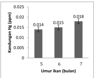 Gambar 2.  Diagram  kandungan  merkuri  rerata  pada  daging  ikan  nila  umur  5-7    bulan  pada keramba 2 
