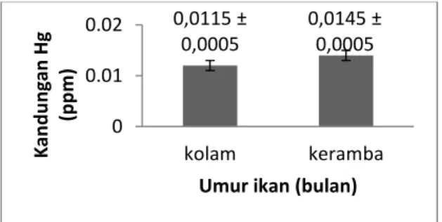 Tabel 2.  Kandungan merkuri daging ikan nila yang diperoleh dari kolam   Nama Sampel  Per ikan (ppm)  Rerata (ppm) 