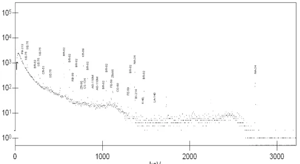 Gambar 1. Profil spektrum-γ cuplikan bahan pangan (ikan tongkol) hasil iradiasi tanggal 2 Desember 2008, di  RS3 RSG-GAS, T iradiasi  =1 jam, t decay  =10 hari, t  pencacahan  =1 jam.
