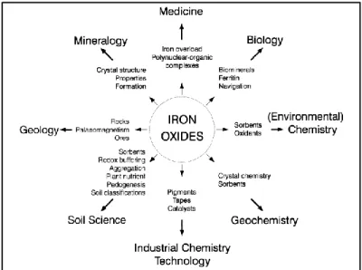 Gambar 2.2 Penelitian dari Beragai Disiplin Ilmu Tentang Besi Oksida (Cornel &amp; 