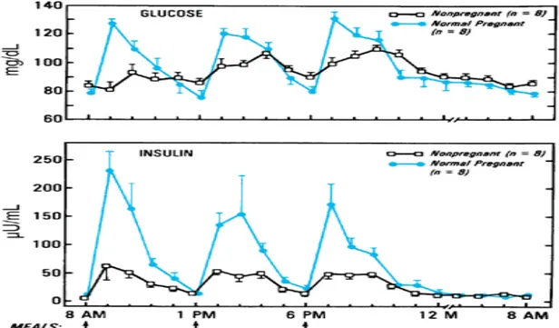 Gambar   1.1   Perubahan   diurnal   kadar   glukosa   dan   insulin   plasma   pada   kehamilan normal