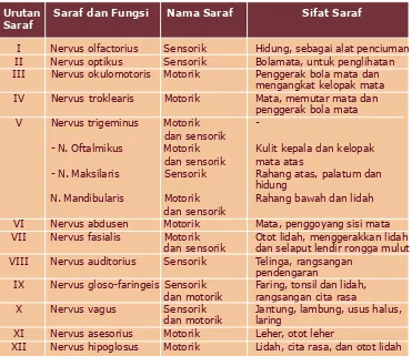 Tabel 3.1 Sifat dan Fungsi Saraf Otak