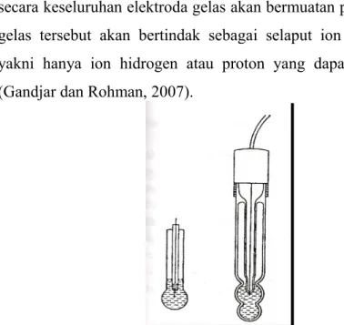 Gambar 2.2 Elektroda Gelas (Gandjar dan Rohman, 2007) 2.3 Penentuan pH Pada Potensiometri