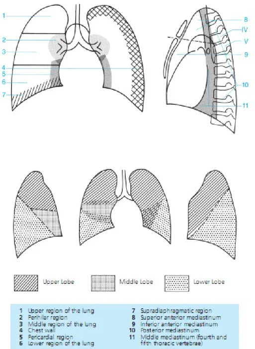 Gambar 8: Gambar Region Dada  5