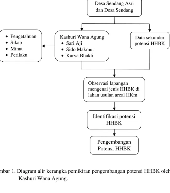 Gambar 1. Diagram alir kerangka pemikiran pengembangan potensi HHBK oleh Kashuri Wana Agung.