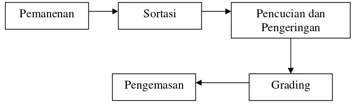 Gambar 1. Model penanganan pasca panen sayuran dan buah-buahan (Budiastra dan Purwadaria, 1993)