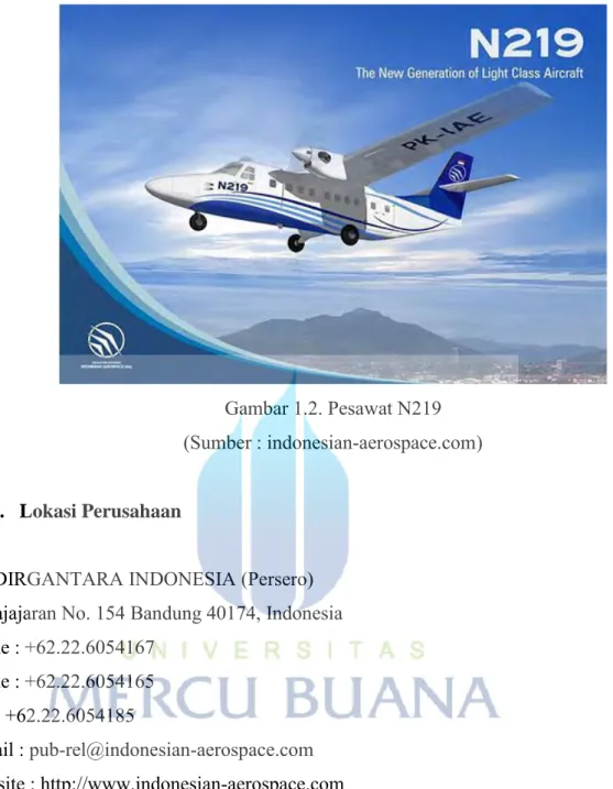 Gambar 1.2. Pesawat N219  (Sumber : indonesian-aerospace.com) 