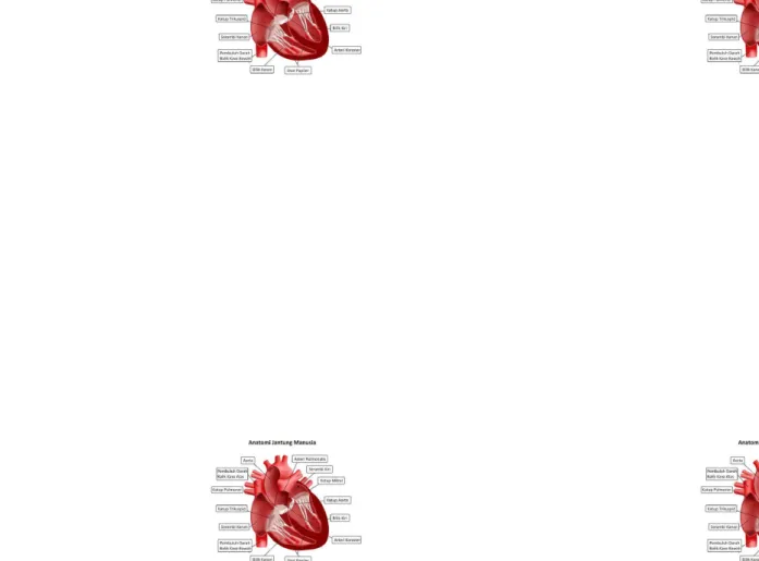 Gambar 1. Anatomi Jantung ManusiaGambar 1. Anatomi Jantung Manusia