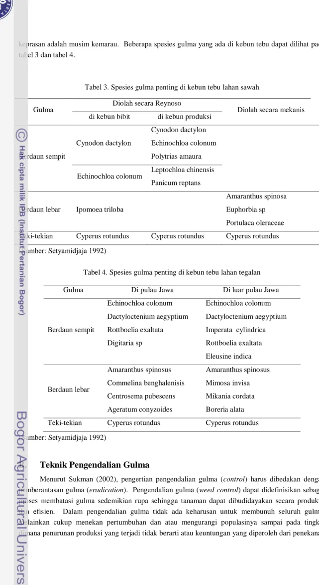Tabel 3. Spesies gulma penting di kebun tebu lahan sawah 