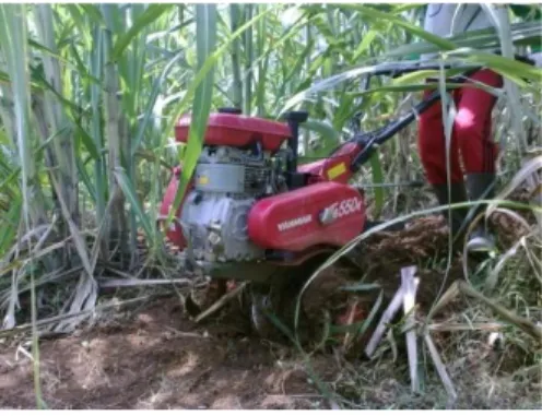 Gambar 6. (a) hand sprayer otomatis, (b) walking type cultivator 