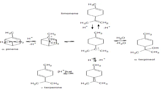 Gambar 2.3 Evolusi spesimen kimia pada katalis asam hidrasi α(M. Roman-Aguirre -pinena et al