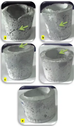 Gambar 4. Citra SEM dengan Penambahan KA. 