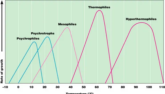 Grafik pertumbuhan mikroba pada berbagai kisaran suhu pertumbuhan 