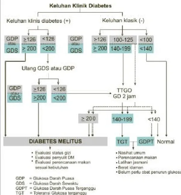 Gambar 2. Algoritma diagnosis Diabetes Mellitus.