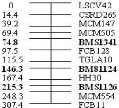 Gambar 5. Lokasi penciri mikrosatelit digunakan dalam analisis alel  (genotyping) pada kromosom 2, QTL teridentifikasi diperkirakan berlokasi disekitar 
