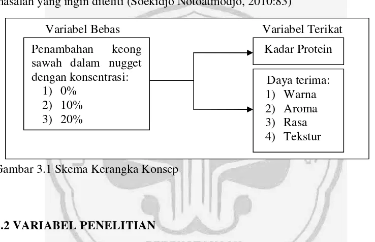 Gambar 3.1 Skema Kerangka Konsep