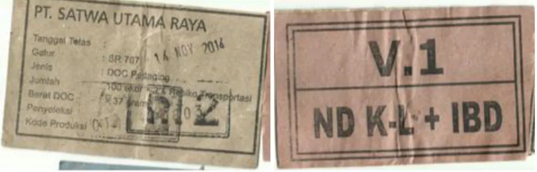 Gambar 2. Data Label Box DOC dari PT. Satwa Utama Raya  