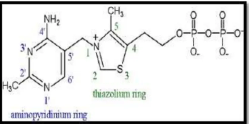 Gambar 9. Struktur TPP,