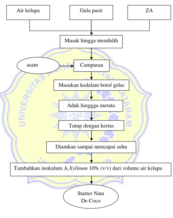 Gambar 4. Diagram alir proses pembuatan inokulum 