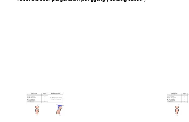 Tabel 2.3 skor pergerakan punggung ( batang tubuh )