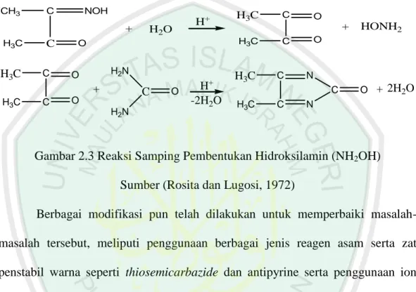 Gambar 2.3 Reaksi Samping Pembentukan Hidroksilamin (NH 2 OH)  Sumber (Rosita dan Lugosi, 1972) 