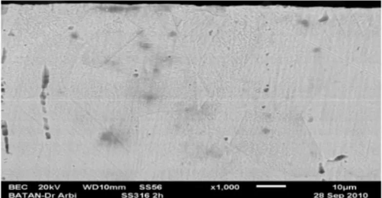 Gambar  8  menunjukan  nilai  kedalaman  lapisan  nitrogen  (N)  dan  karbon  (C)  yang  terdifusi  pada  sampel  stainless  steel  316L  yang  mengalami  proses  RF-plasma  nitrocarburizing  mengalami  kenaikan