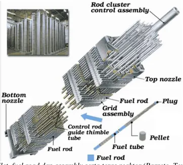 Gambar 5. Fuel pellet, fuel road dan assambly serta teras reaktor (Barreto, Texa A&amp;M University) 