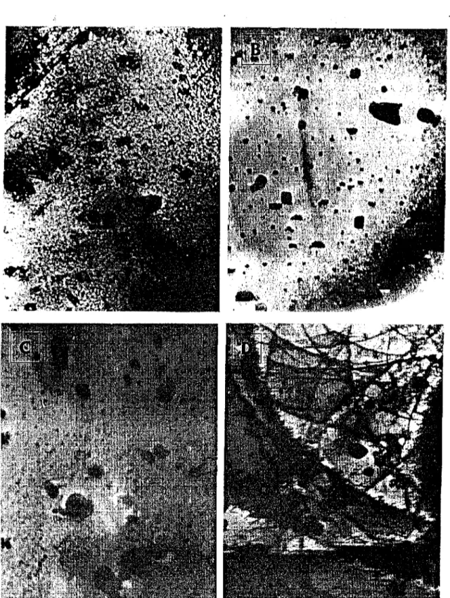 Gambar 1.a. Mikrograf TEM dari presipitat zircaloy-4 yang dianil pada suhu 700°C.