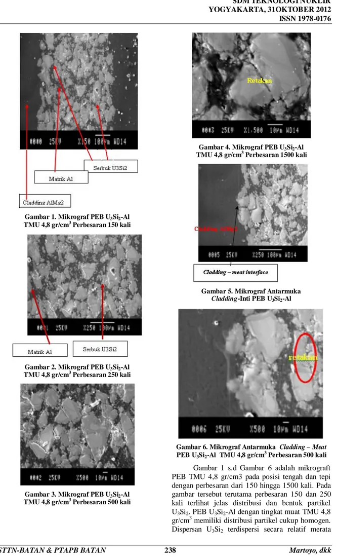 Gambar 1. Mikrograf PEB U 3 Si 2 -Al   TMU 4,8 gr/cm 3  Perbesaran 150 kali 