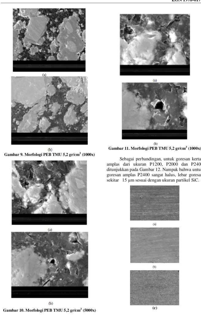 Gambar 9. Morfologi PEB TMU 5,2 gr/cm 3  (1000x) 