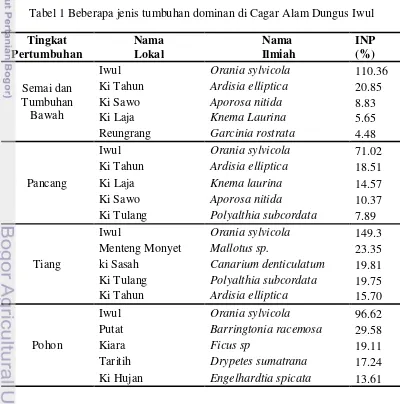 Tabel 1 Beberapa jenis tumbuhan dominan di Cagar Alam Dungus Iwul 